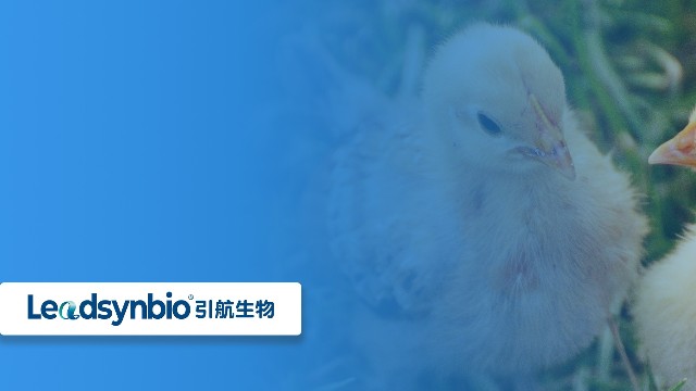 關(guān)于25-羥基維生素D?，你不得不知道的七個問答（二）｜產(chǎn)品科普